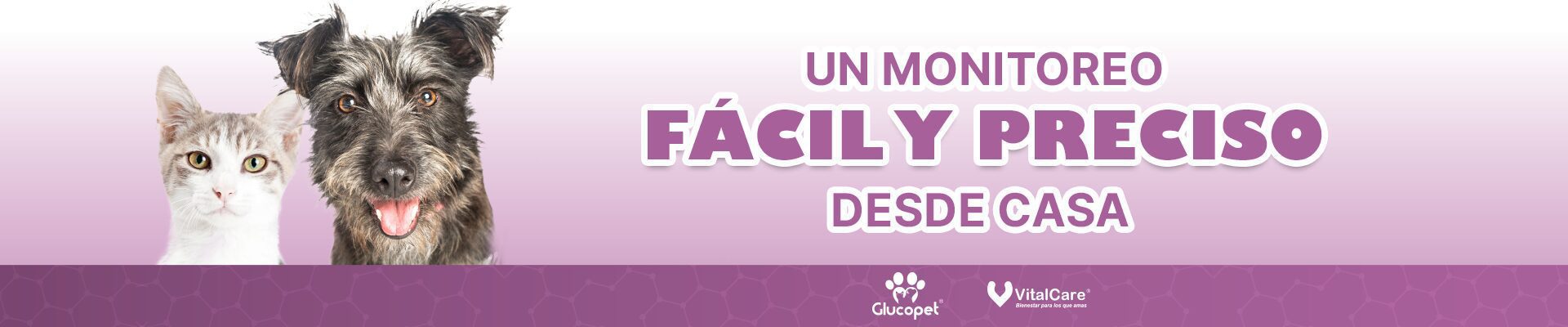 Monitoreo fácil y preciso desde casa